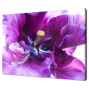 Beautiful Purple Tulip Flower Close Up Modern Floral Design Home Decor Canvas Print Wall Art Picture Wall Hanging