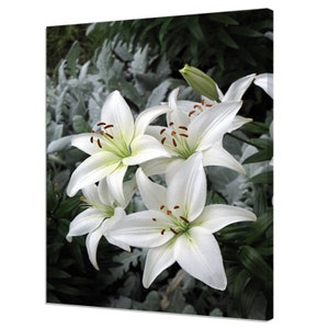 Stunning White Lily Flowers Lilies Modern Floral Design Canvas Print Home Decor Wall Art Wall Hanging Picture