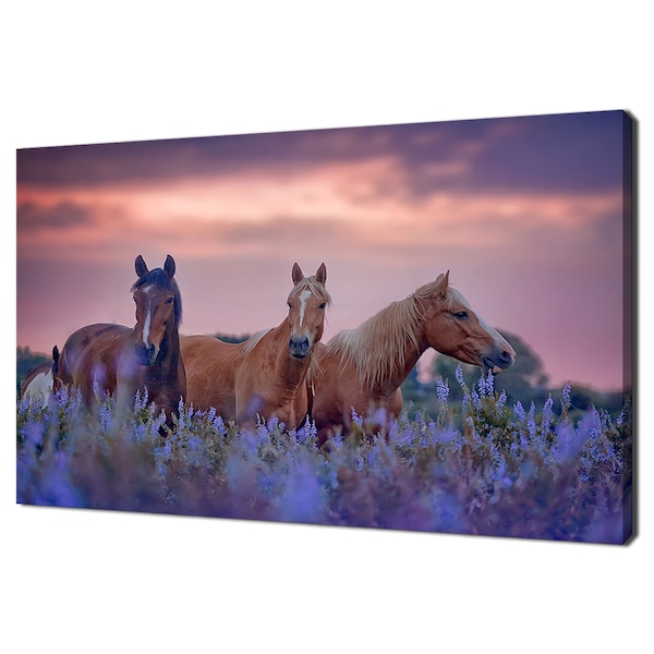 Horses In Purple Flowers Field Sunset Animals Modern Design Home Decor Canvas Print Wall Art Picture