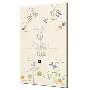 Hilma Af Klint Violet Blossoms Serie 1 Modernes Design Wandkunst Bild