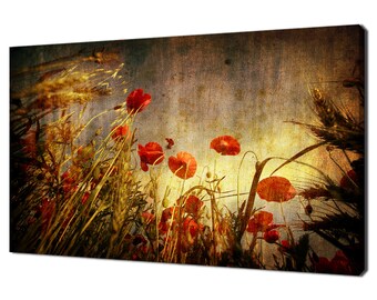 Schöne Grunge rote Mohnblumen Blühende Blumen Feld-moderne Blumenentwurfs-Hauptdekor Leinwand-Wand-Kunst-Bild