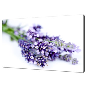 Purple Blooming Lavender Flowers Modern Floral Design Home Decor Canvas Print Wall Art Picture