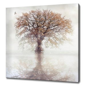 White Dove Flying Towards Lonely Autumn Tree Modern Design Canvas Print Wall Art Picture