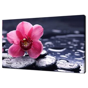 Schöne Rosa Orchidee Blume Auf Nassen Kieselsteinen Modernes Blumen Zen Spa Design Haus Badezimmer Dekor Leinwand Druck Wand Kunst Bild