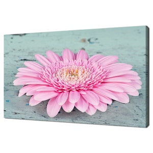 Pink Daisy Gerbera Flower On Rustic Light Blue Wooden Background Modern Floral Design Home Decor Canvas Print Wall Art Picture