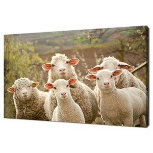 Sheep Within A Mob Curious Animals Modern Design Decor Canvas Print Wall Art Picture