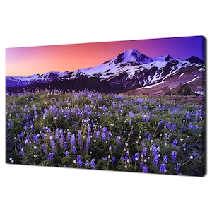 Vulkan Lila Blumen Feld Modernes Design Wohnkultur Leinwand Druck Wand Kunst Bild