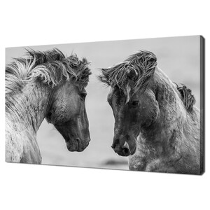 Fighting Horses Black And White Animals Modern Design Home Decor Canvas Print Wall Art Picture