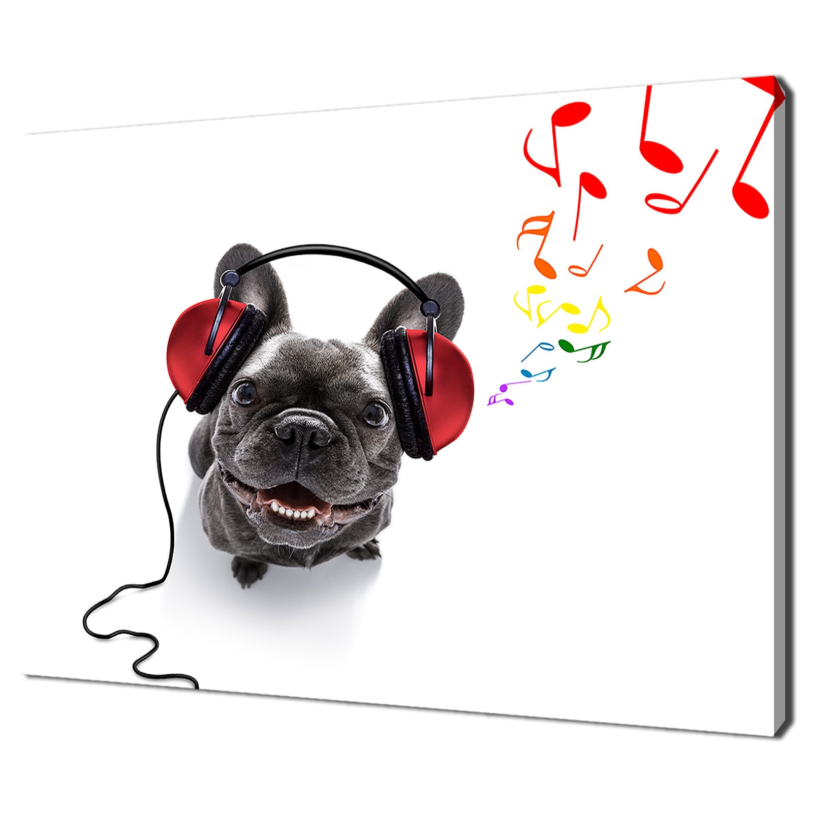 Hund Listening To The Music Tragen Kopfhörer Modernes Design Home Decor  LeinwandDruck Wandkunst Bild