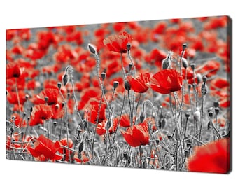 Rot blühende Mohnblume Blumen Feldmohnblumen Modernes Blumendesign Hauptdekor Leinwand-Wand-Kunst-Bild