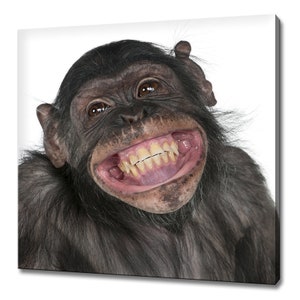 Cute Smiling Monkey Humourous Animal Modern Design Home Decor Canvas Print Wall Art Picture Wall Hanging image 1
