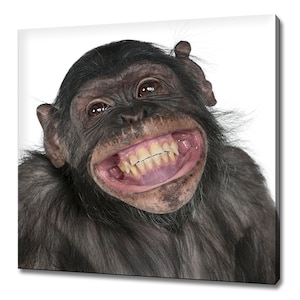 Cute Smiling Monkey Humourous Animal Modern Design Home Decor Canvas Print Wall Art Picture Wall Hanging