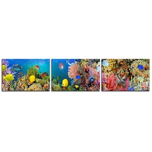 Colourful Coral Reef Tropical Fish Underwater 3 Panels Modern Canvas Print Wall Art Picture