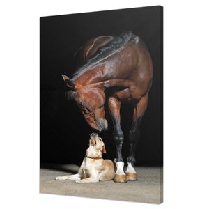 Beautiful Brown Horse And Dog Modern Design Home Decor Canvas Print Wall Art Picture