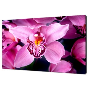 Schöne Fuchsie Orchideen Blumen Modernes Blumendesign Home Decor Leinwand Wand Kunst Bild