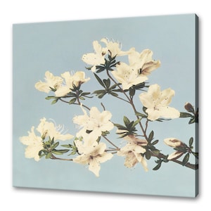 Vintage Japanese Azaleas Ogawa Kazumasa Modern Floral Design Reproduction Home Decor Canvas Print Wall Art Picture Wall Hanging