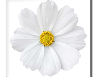 Schöne weiße Schmuckkörbchen Modernes Blumen Design Home Decor Leinwand Wand Kunst Bild