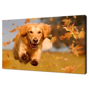 Golden Retriever Jumping Through Autumn Leaves Dog Modern Design Home Decor Canvas Print Wall Art Wall Hanging