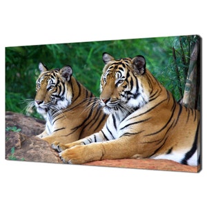 Beautiful Tigers Lying On The Rock Wild Cat Animals Modern Design Home Decor Canvas Print Wall Art Picture Ready To Hang