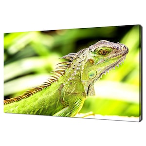 Lienzo decorativo con diseño moderno de iguana verde, animal, lagarto, para pared, listo para colgar