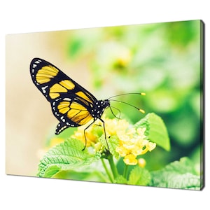 Yellow Butterfly Sitting On Yellow Flower Modern Design Home Decor Canvas Print Wall Art Picture Wall Hanging