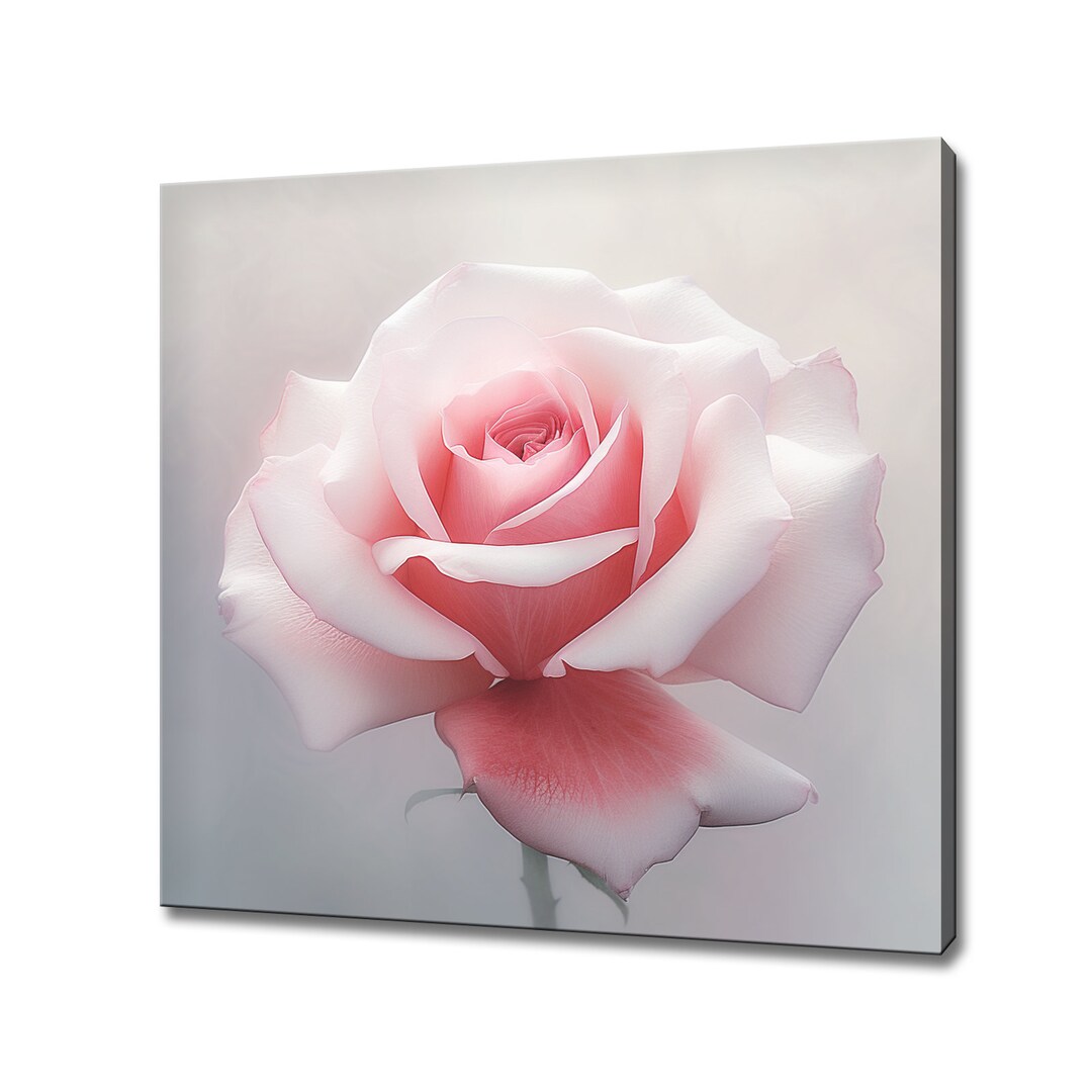 Pastel Pink Rose Flower Close up Canvas Print Wall Art, Modern Floral ...