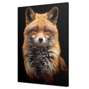 Cute Red Ginger Fox Animal Modern Design Kids Room Decor Canvas Print Wall Art Picture