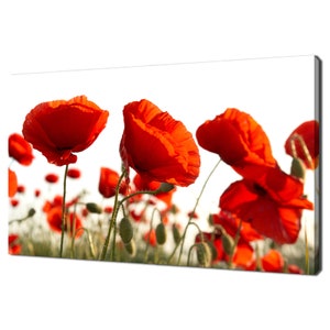 Feld Der Schönen Roten Mohnblume Mohnblumen Blumen Modernes Blumendesign Wohnkultur Leinwand Druck Wand Kunst Bild