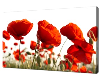 Feld Der Schönen Roten Mohnblume Mohnblumen Blumen Modernes Blumendesign Wohnkultur Leinwand Druck Wand Kunst Bild