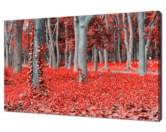 Op de afbeelding: Een bos scène met hoge bomen en een grond bedekt met rode bladeren. De bomen zijn voornamelijk grijs, sommige vertonen hints van rode bladeren. De grond is bedekt met een dikke laag rode bladeren, wat een levendige en kleurrijke scène creëert.
