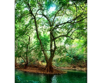 Renaiss 18x24 Inches Green Trees Wall Art Poster Greenery Forest Pink Sky Natural Landscape Pine Tree Artwork Painting Canvas Prints for Girls Bedroom Living Room Kitchen Cafe Decor Framed Renaiss 18x24 Inches Green Trees Wall Art Poster Greenery Forest Pink Sky Natural Landscape Pine Tree Artwork Painting Canvas Prints for Girls Bedroom Living Room Kitchen Cafe Decor Framed