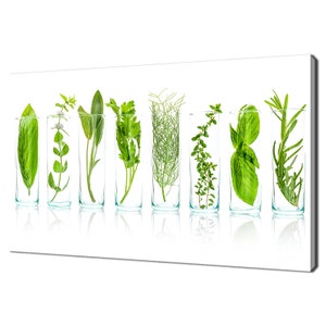 Bottles Of Green Fresh Herbs Kitchen Modern Design Canvas Print Wall Art Picture