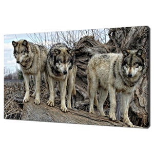 Grey Wolves Standing On A Log In Forest Modern Design Home Decor Canvas Print Wall Art Picture Ready To Hang