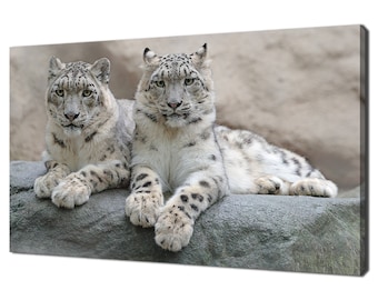 Beautiful Pair Of Snow Leopards Wild Cats Modern Design Home Decor Canvas Print Wall Art Picture