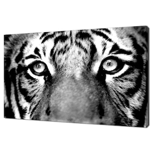 Beautiful White Bengal Tiger Face Close Up Wild Cat Animal Modern Design Home Decor Canvas Print Wall Art Picture Ready To Hang