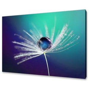 Dew Water Drop On Dandelion Seed Blue Modern Design Home Decor Canvas Print Wall Art Picture
