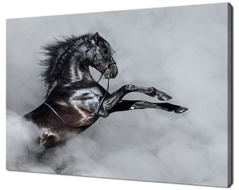 Beautiful Black Friesian Horse Women/'s Tee Image by Shutterstock