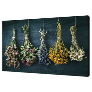 Hanging Bunches Of Dry Medicinal Herbs And Flowers Kitchen Modern Design Decor Canvas Print Wall Art Picture