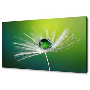 Dew Water Drop On Dandelion Seed Green Modern Design Home Decor Canvas Print Wall Art Picture
