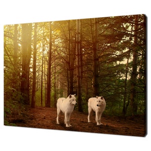 Two Beautiful Grey Wolves In A Forest Modern Design Home Decor Canvas Print Wall Art Picture Ready To Hang