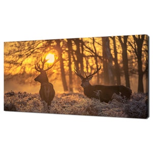 Beutiful Red Deer Couple In The Morning Sun Modern Design Home Decor Canvas Print Wall Art Picture