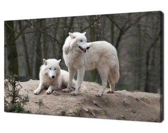 Two Arctic Wolves In The Forest Modern Design Home Decor Canvas Print Wall Art Picture Ready To Hang