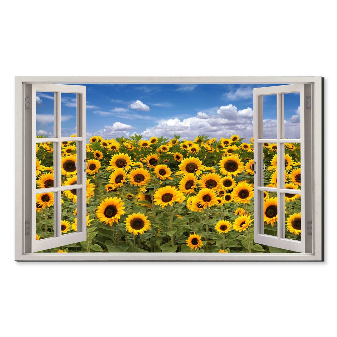 Blue Sky Above the Sunflowers Field Window View, Window Frame Style ...