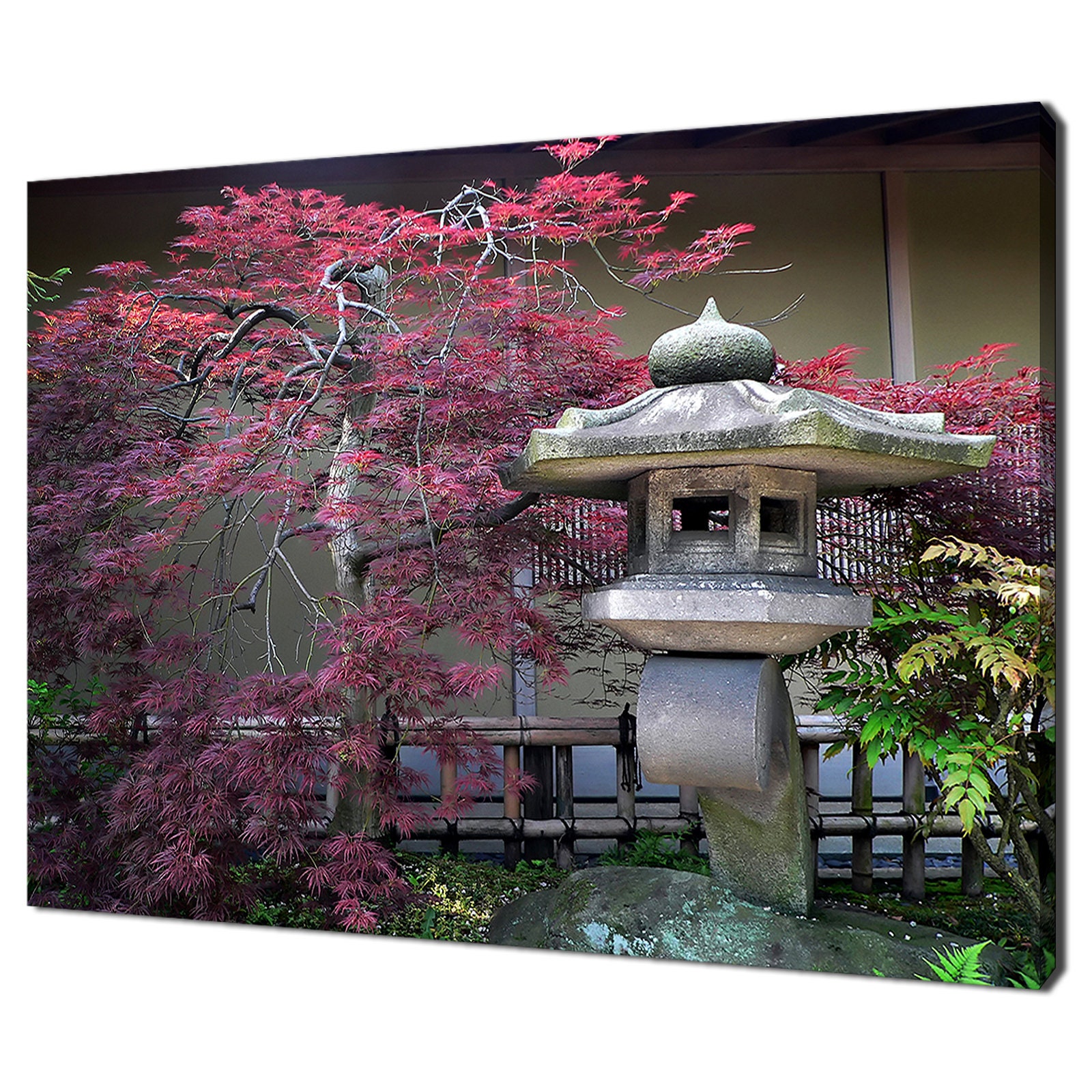 Japanese Garden Lantern Pink Maple Tree Tokyo Modern Design Etsy
