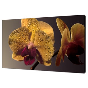 Schöne Gelbe Orchidee Blume mit Wassertropfen Modernes Blumen Design Home Decor Leinwand Wand Kunst Bild