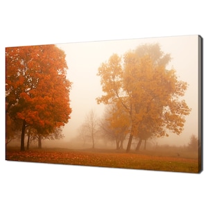 Misty Autumn Foggy Morning Trees Modern Landscape Design Home Decor Canvas Print Wall Art Picture Wall Hanging
