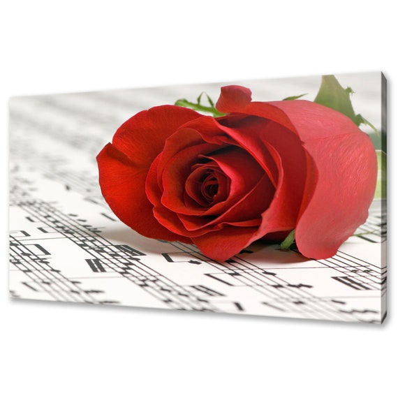 Beautiful Red Rose Flower With Music Notes Modern Design Home