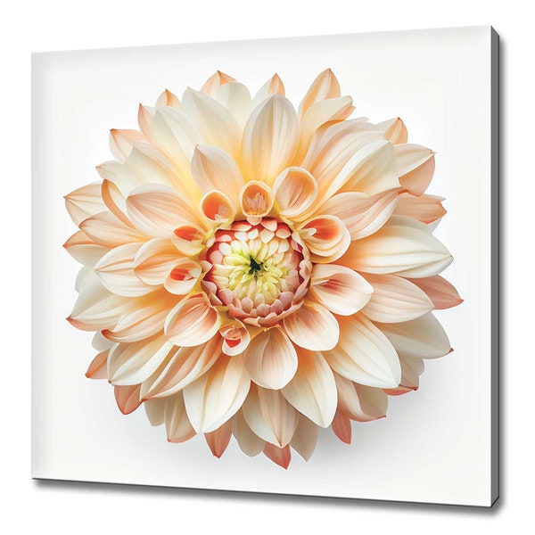 Beautiful Cream Dahlia Flower Modern Floral Design Home Decor Canvas Print Wall Art Picture