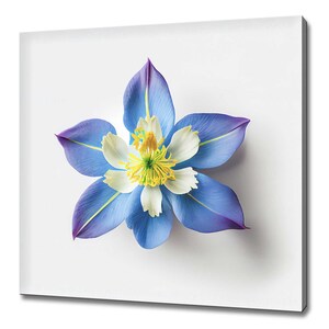 Colorado Blue Columbine Flower Modern Floral Design Home Decor Canvas Print Wall Art Picture