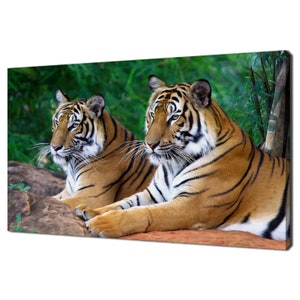 Beautiful Tigers Lying On The Rock Wild Cat Animals Oil Painting Style Modern Design Home Decor Canvas Print Wall Art Picture Ready To Hang